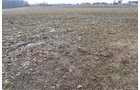 Property photo 45 - 98+/- Acres Offered in 6 Tracts or Combinations, Noble County, Indiana Farm